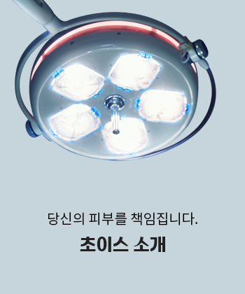 초이스소개